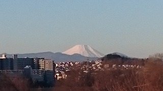 fuji.jpg